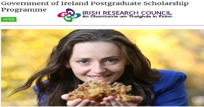 Government of Ireland Postgraduate Scholarship Program 2021/22, Graduate student Scholarship, International scholarship, Postgraduate Scholarship, Scholarship for international students, Scholarship applications