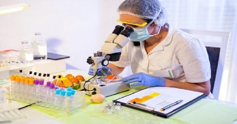 research assistant jobs in food science