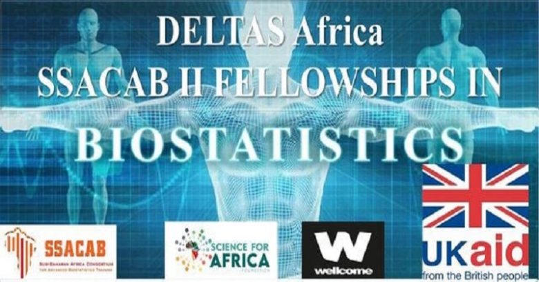 Call for MSc Scholarships in Biostatistics for the 2024 Academic Year