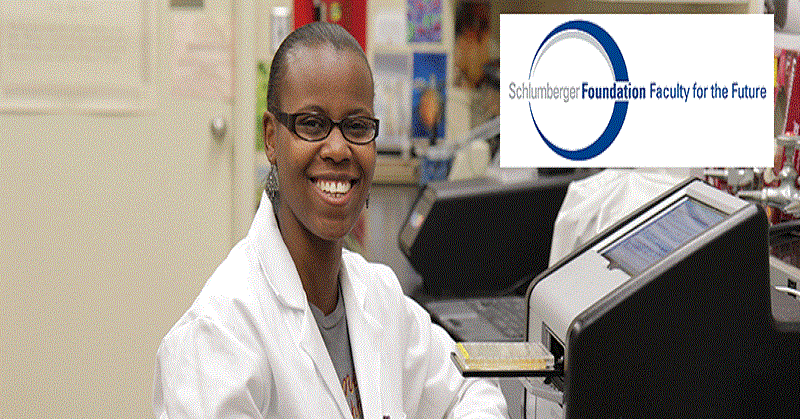 Schlumberger Foundation Faculty for the Future Fellowships (USD 50,000 Grants)